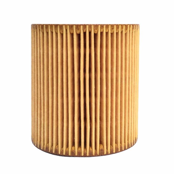 فیلتر روغن موتور بی ام دبلیو مدل  N52N54N55 BMW N52N54N55 Engine Oil Filter